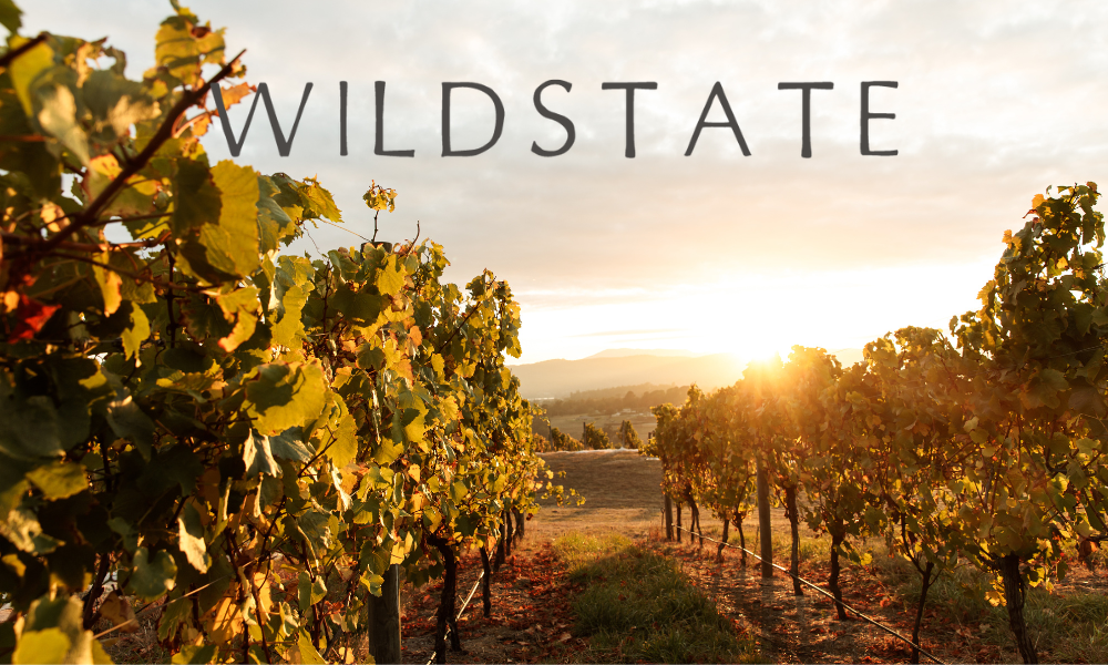 Welcome to Wildstate!