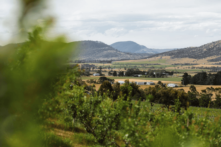 Coal River Valley