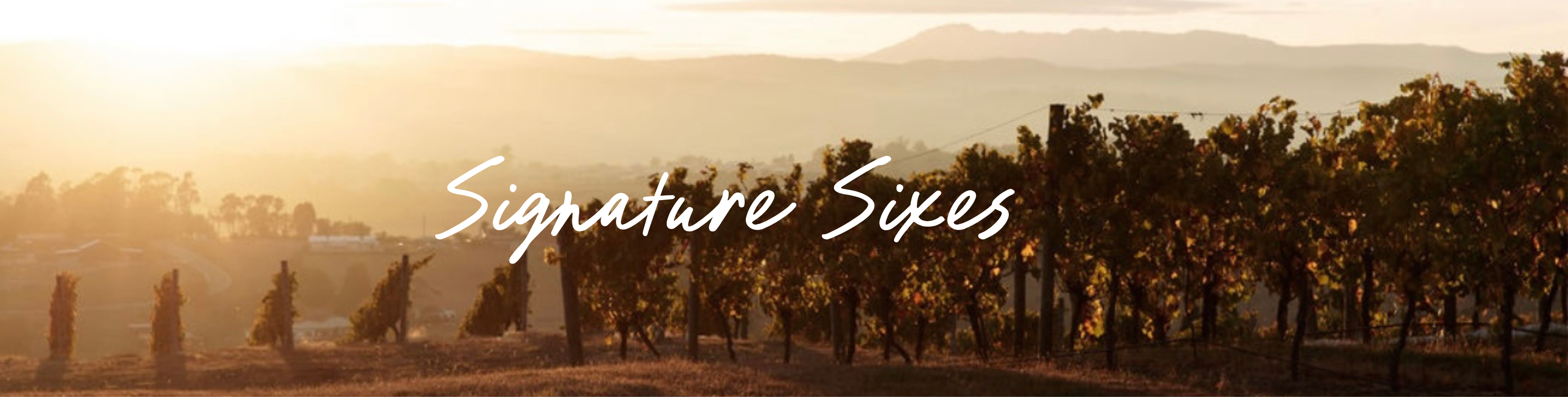 Signature Sixes
