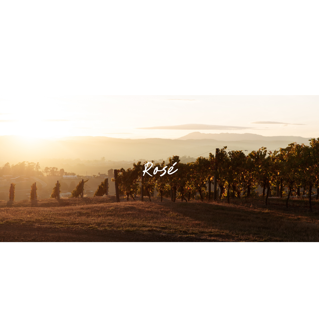 Rosé