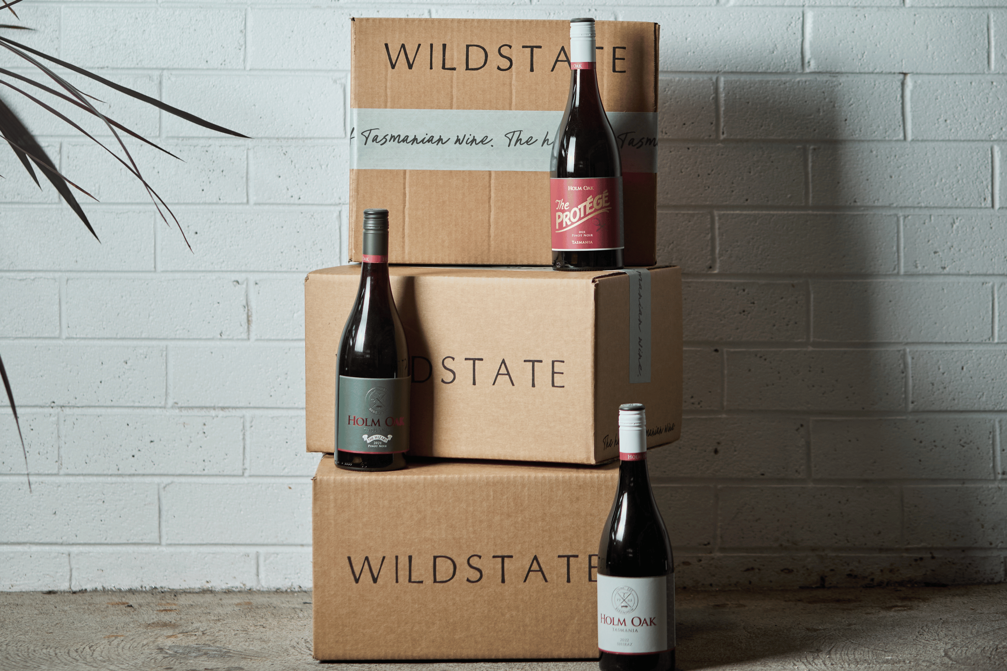 Curated Selections