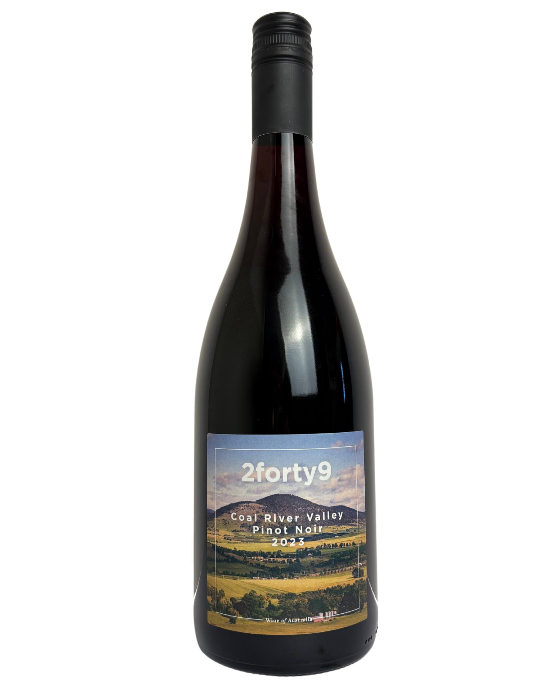 2forty9 Pinot Noir 2023 Tasmanian Red Wine