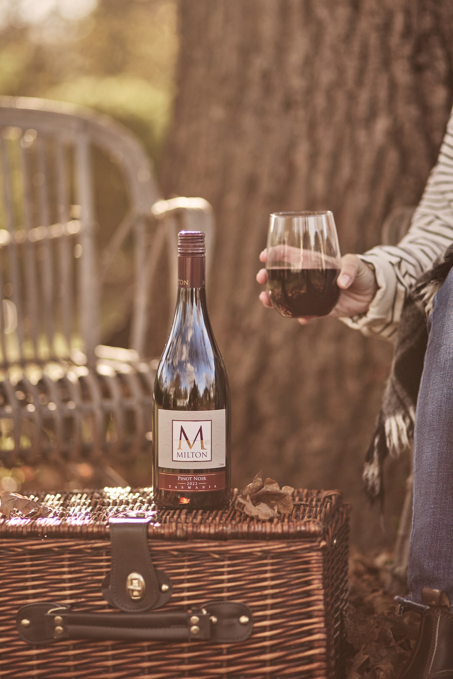 The Pinot Noir Experience