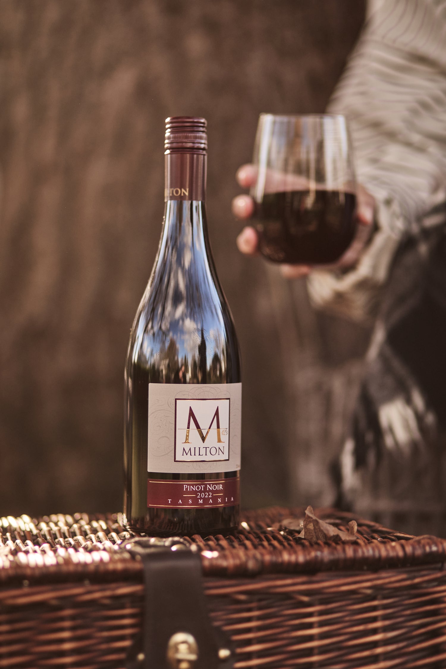The Pinot Noir Selection