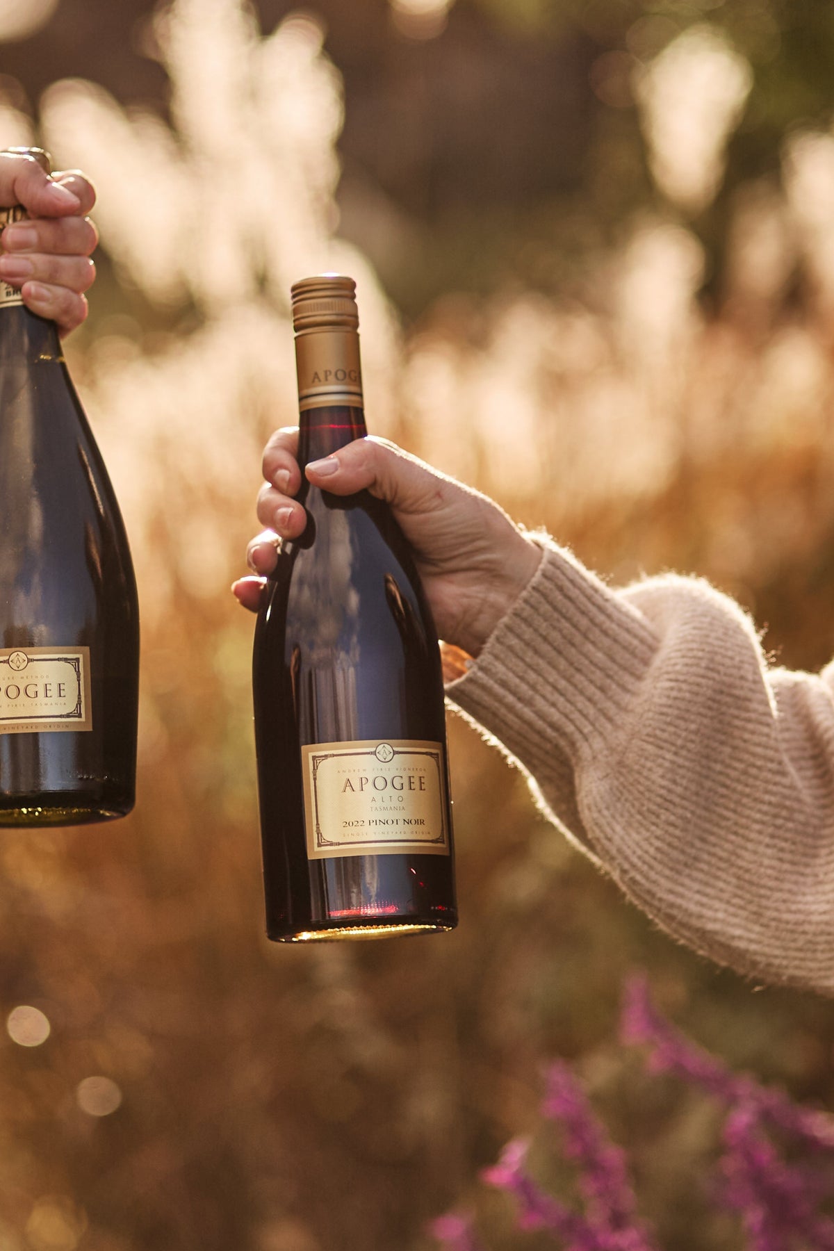 Apogee 'Alto' Pinot Noir 2024