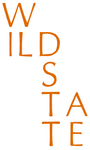 The orange text 'WILD STATE' is vertically stacked in a staggered, artistic layout on a solid white background.